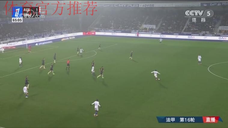 第16轮：欧塞尔3-4里尔 集锦