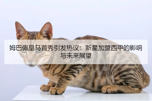 姆巴佩皇马首秀引发热议：新星加盟西甲的影响与未来展望
